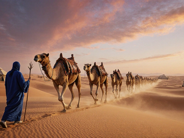 Quels sont les deux types de circuits en excursion désert algérien ?
