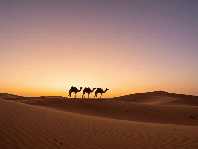 Quand aller au Sahara au Maroc ? Le guide pratique pour éviter la chaleur et profiter des nuits étoilées
