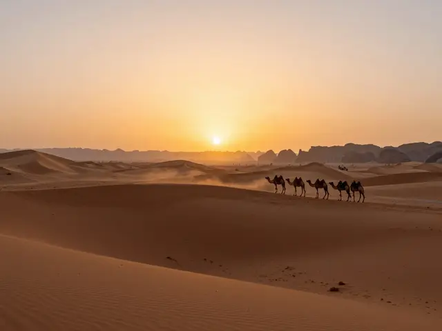 Quelle est la meilleure période pour visiter le désert algérien ?