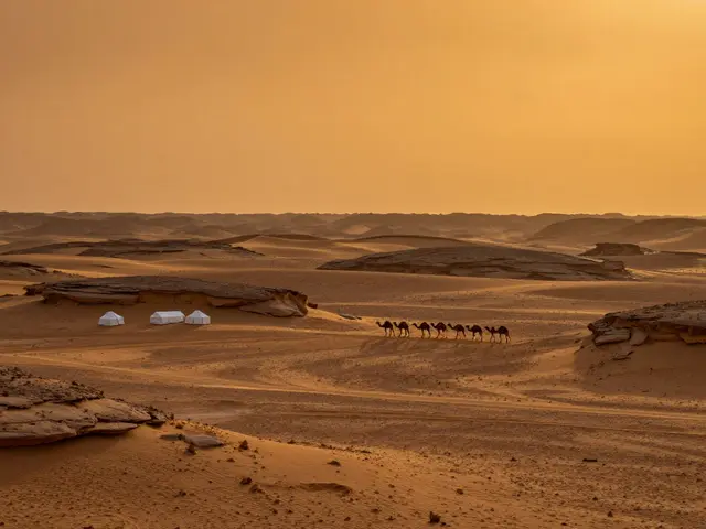 Que signifie le mot "Sahara" en arabe ? Origine et signification du nom du désert