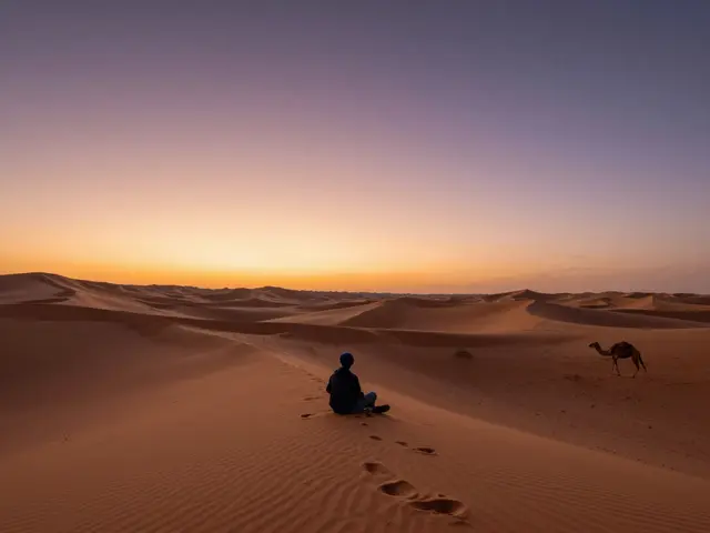 Est-ce que ça vaut le coup d’aller dans le désert du Sahara ?