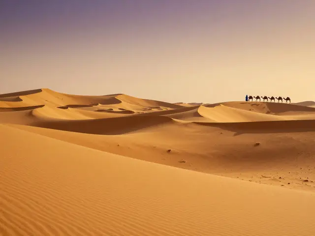 Le plus beau désert du monde : Guide pour choisir votre destination