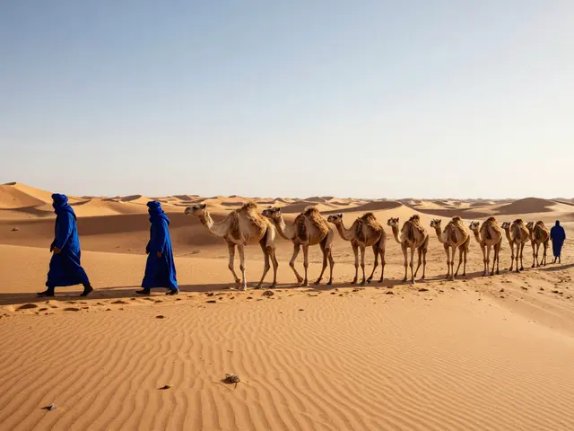 Qui vit vraiment dans le désert du Sahara ? Rencontres et modes de vie